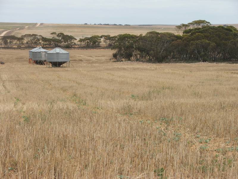 Farm, Graze, Bushwalk & Enjoy! Picture 3