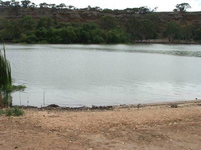 Riverfront Allotment - Plenty of Room - Skiing Picture