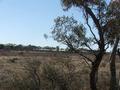 Rural Living - Mannum Picture