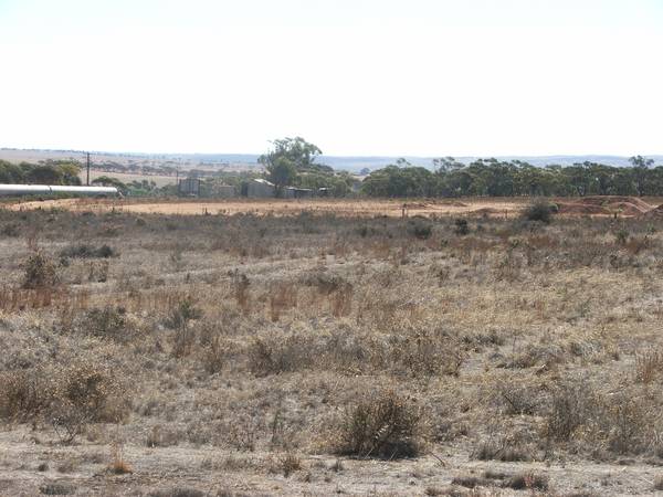Rural Living - Mannum Picture 1