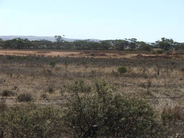 Rural Living - Mannum Picture 3