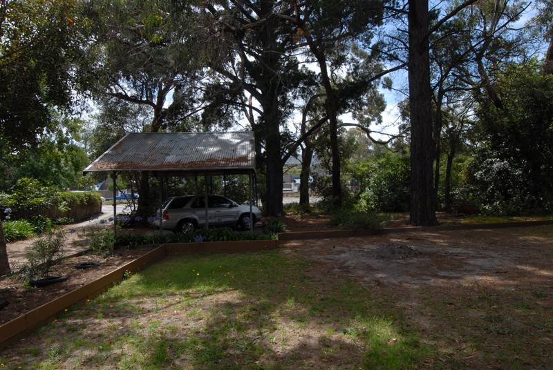 CLOSE TO EVERYTHING Picture 3