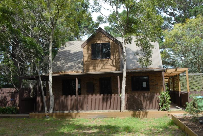 CLOSE TO EVERYTHING Picture 2