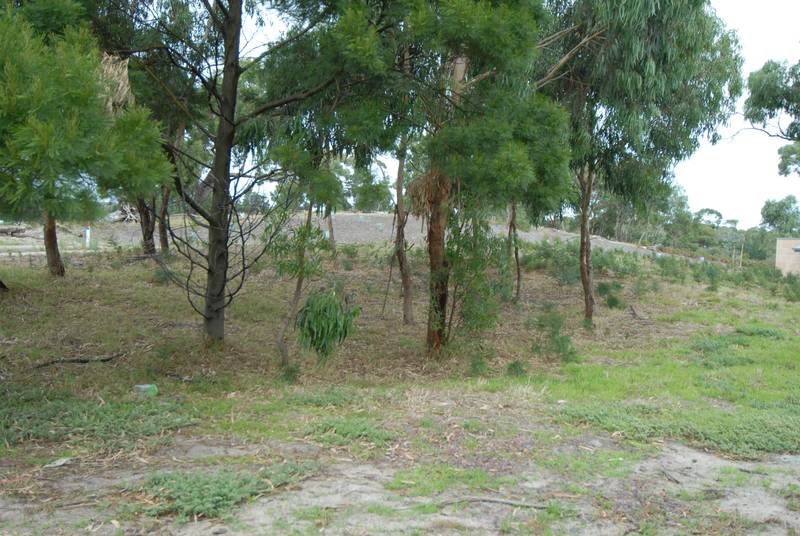 BUY AND BUILD NOW Picture 1