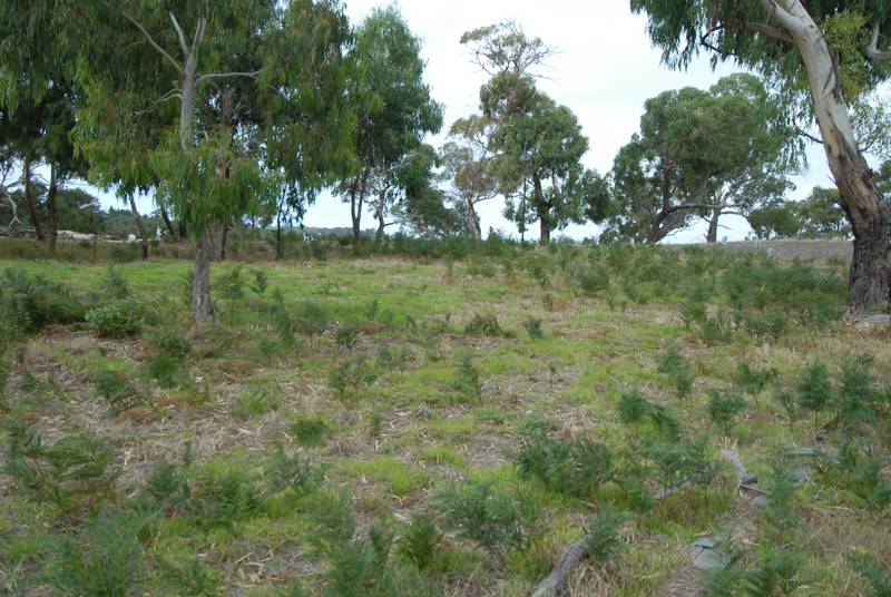 BUY AND BUILD NOW Picture 2