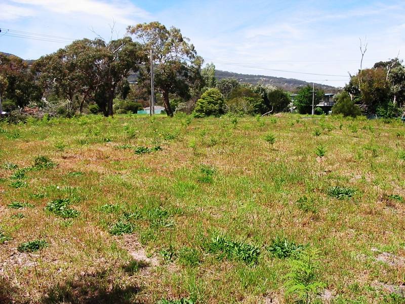 AGONIS COURT
FROM $480,000 Picture 1