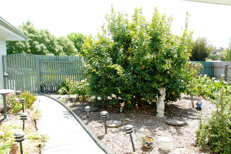 PRIVATE, PEACEFUL AND PERFECT Picture 3