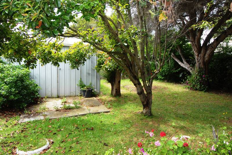 JUST MOVE IN Picture 2