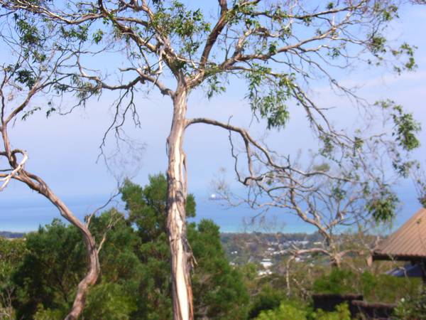 ON TOP OF THE WORLD Picture 2