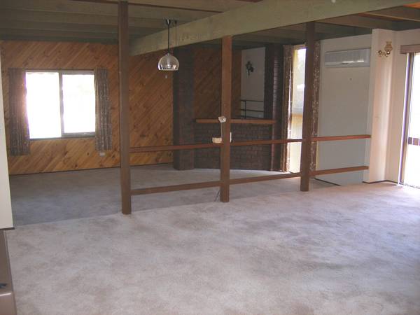 IMMACULATE Picture 2