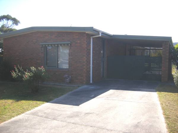 IMMACULATE Picture 1