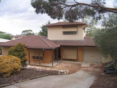 Opportunity Knocks Picture