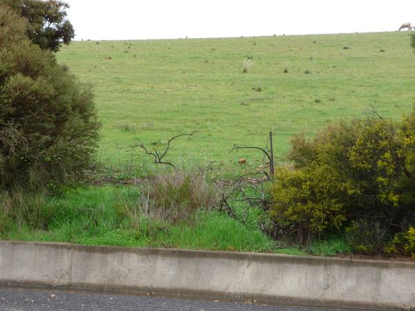 Outstanding Residential Development Site Picture 3