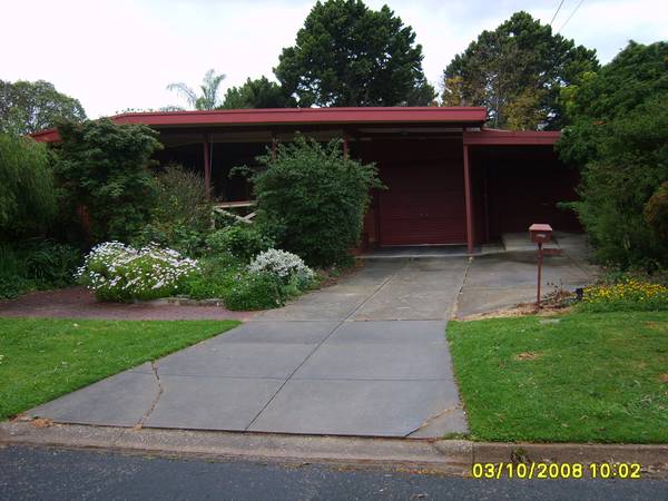 BIRD LOVERS PARADISE! OPEN TUES 4TH AUG 4.45PM-5.10PM Picture 1