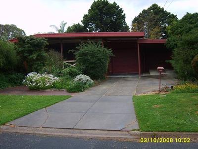 BIRD LOVERS PARADISE! OPEN TUES 4TH AUG 4.45PM-5.10PM Picture