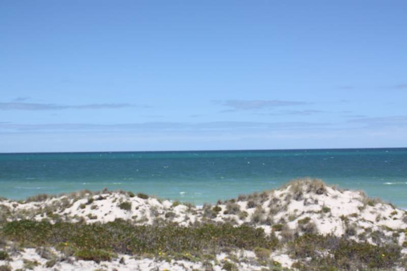 Beach! Beach! Beach! Picture