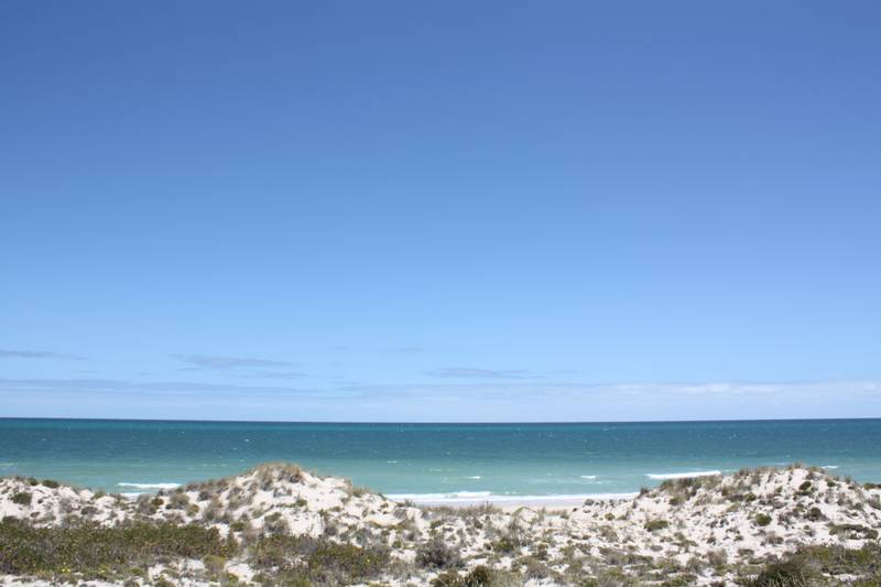 Beach! Beach! Beach! Picture