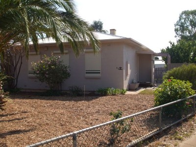 Spruced Up To Please! Picture