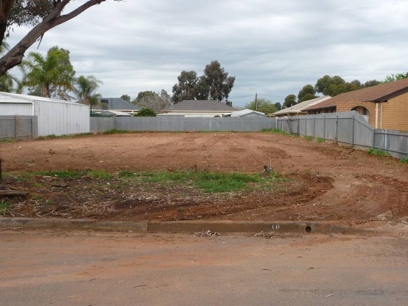 Two Allotments - Long Settlement Available Picture 1