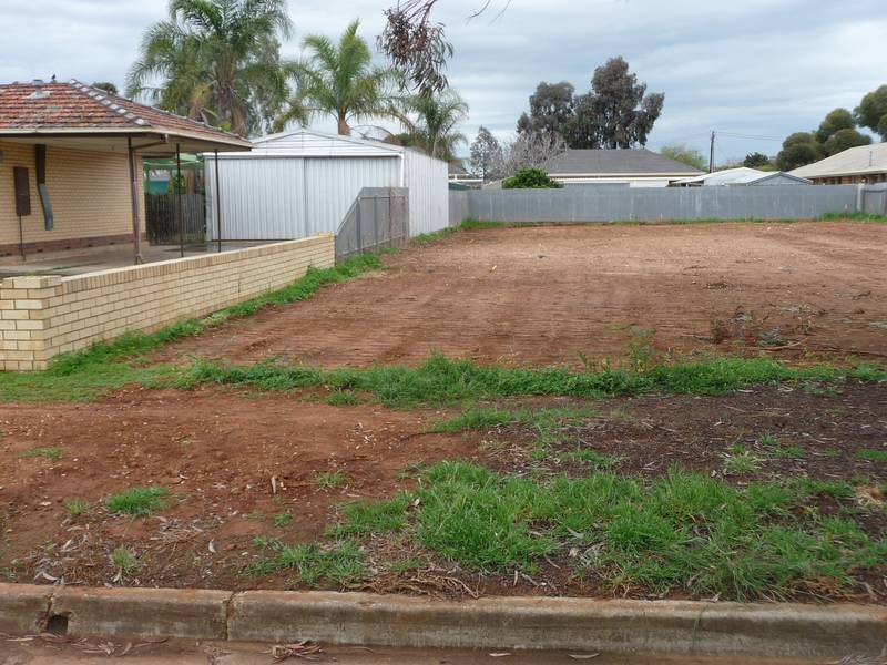 Two Allotments - Long Settlement Available Picture 2