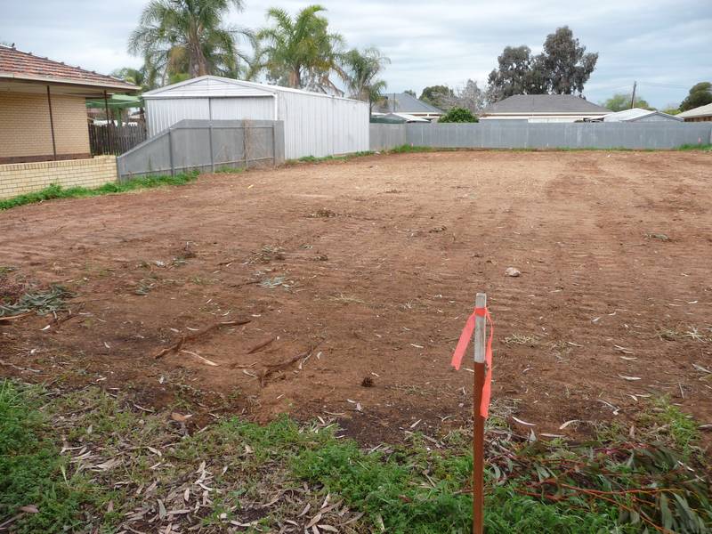 Two Allotments - Long Settlement Available Picture 3