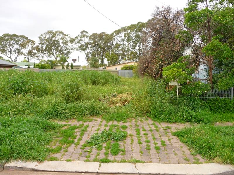 Villa Allotment Picture 1