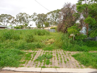 Villa Allotment Picture