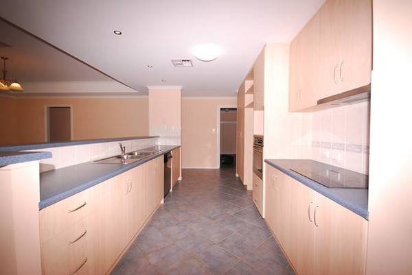 The Great Entertainer! Picture 3