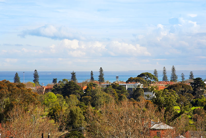 Sea for Miles Picture 2