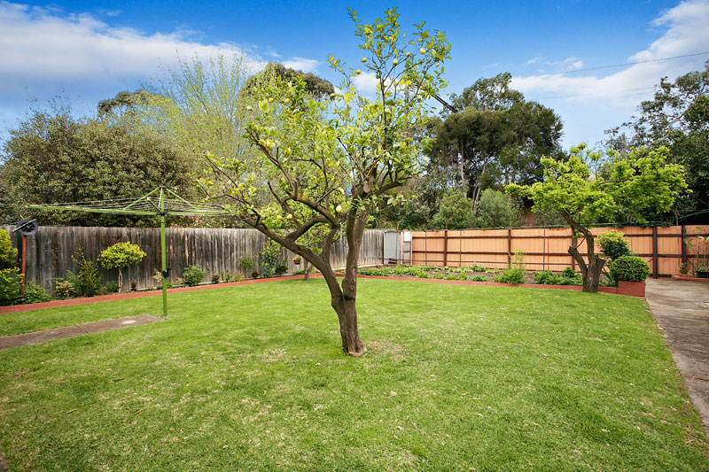 An opportunity not to be missed! Picture 2