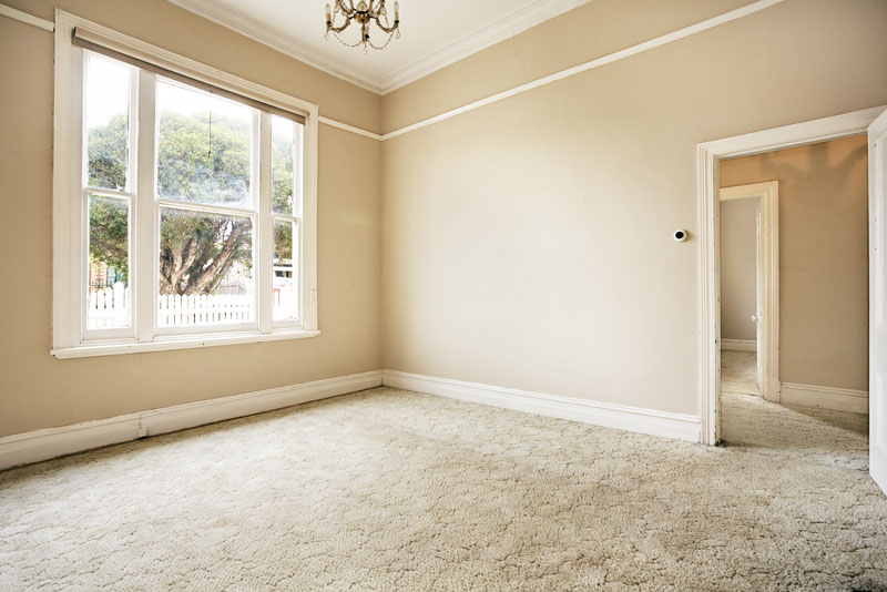 The opportunity of a lifetime! Picture 3