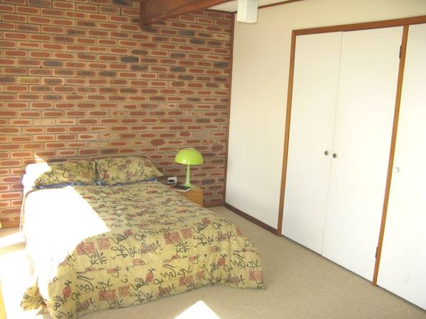 DON'T DARE MISS THIS Picture 3