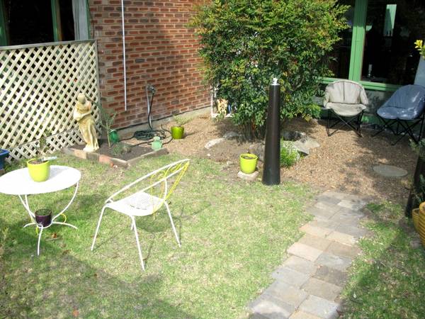 DON'T DARE MISS THIS Picture 2