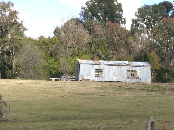 RURAL BLISS IN TOWN Picture 1