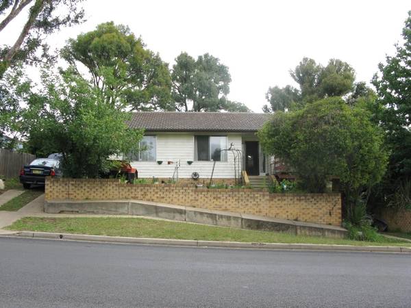 LEAFY OUTLOOK Picture 1