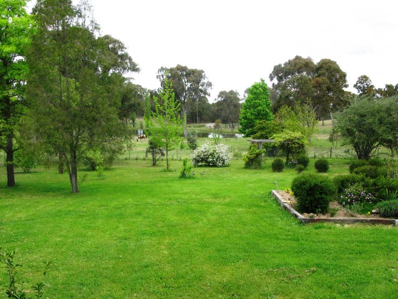 SPACIOUS TRANQUIL CONTEMPORARY Picture 3