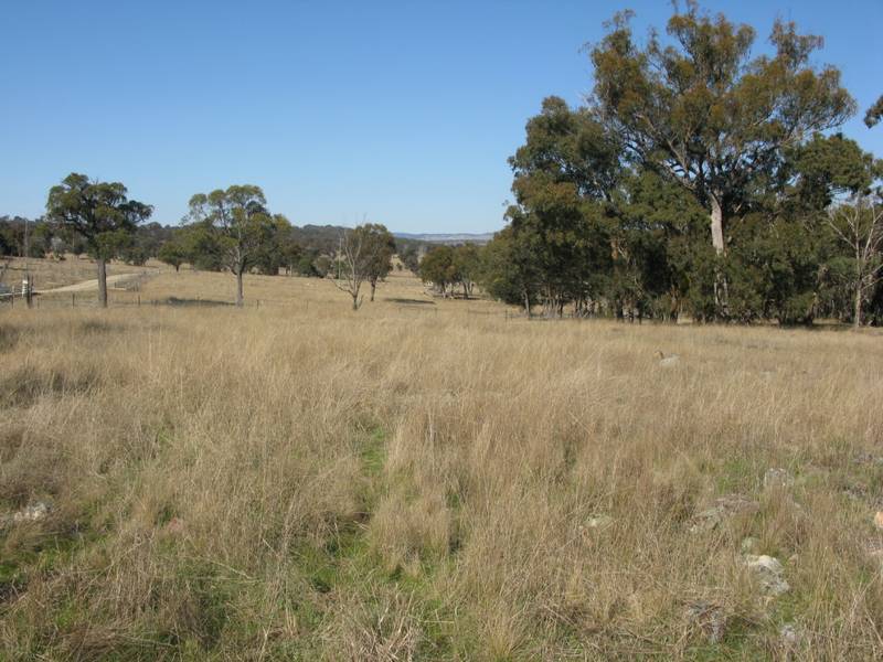 NATIVE LOVERS PARADISE Picture 1