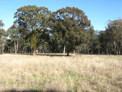 NATIVE LOVERS PARADISE Picture