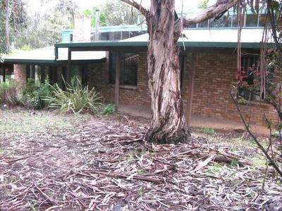 BUSH HIDEAWAY Picture BUSH HIDEAWAY Picture