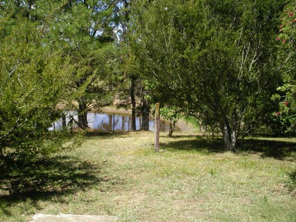 BUSH HIDEAWAY Picture 2