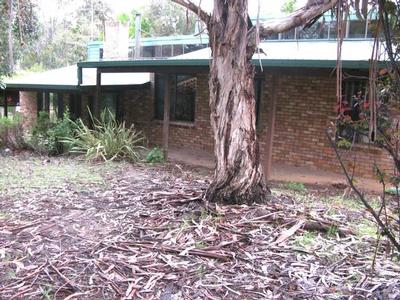 BUSH HIDEAWAY Picture