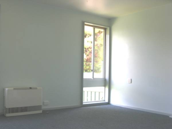 AUCTION BEFORE XMAS Picture