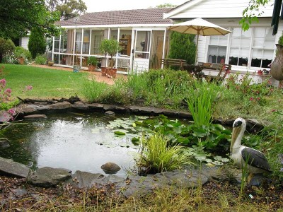 SURPRISE ON TOWN EDGE Picture