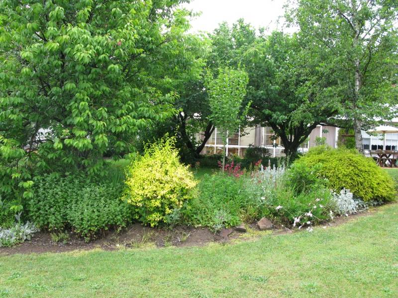 SURPRISE ON TOWN EDGE Picture 2