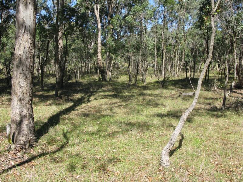 UNTOUCHED INVERGOWRIE Picture 2