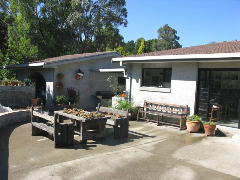 CONTEMPORARY OASIS Picture 3