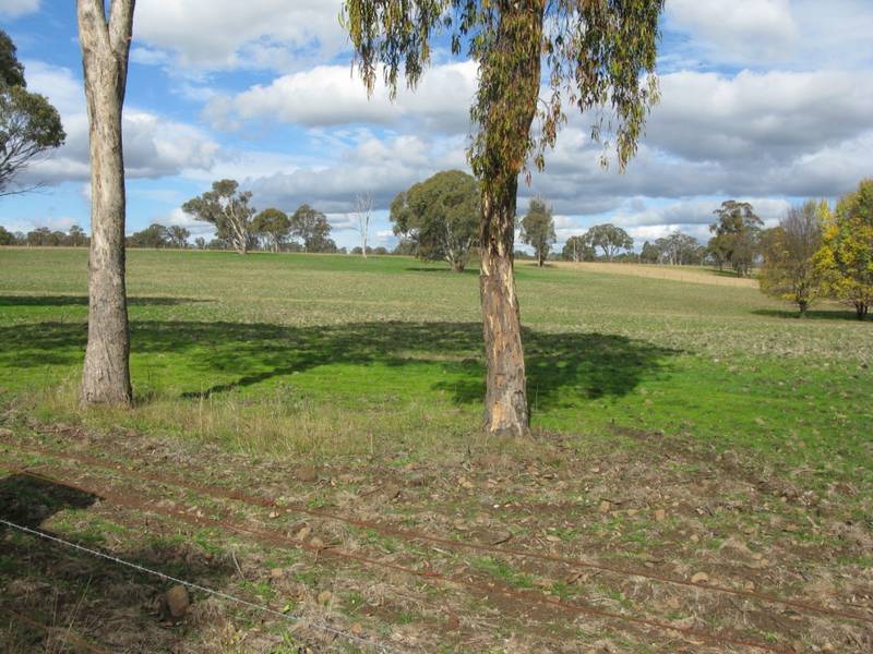 LIFESTYLE BLOCK Picture 2