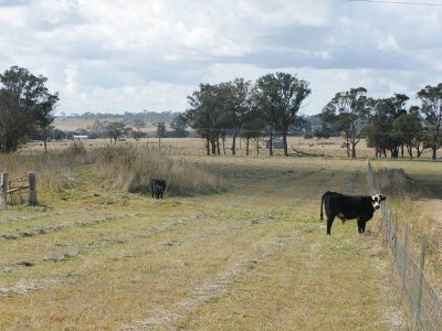 JUST MINUTES FROM CITY CENTRE Picture