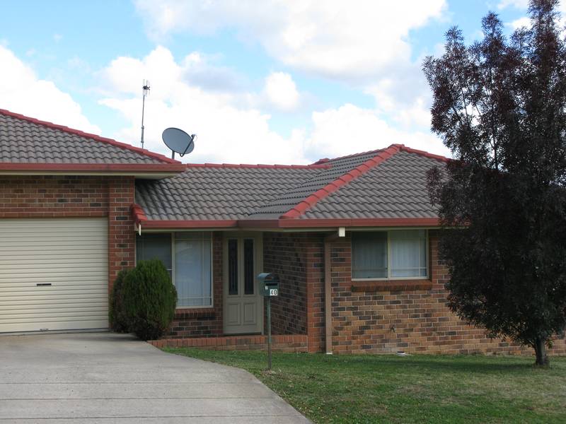 SUNNY OUTLOOK Picture 1