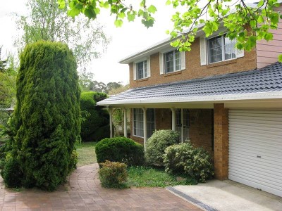 CLASSIC STYLE Picture